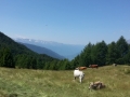 Alpencross_2015_055