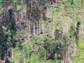Seealpentour2014_F_6693