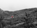 Seealpentour2014_F_6801