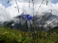 Seealpentour2014_F_6983