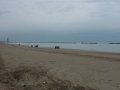 Gatteo_2015_003