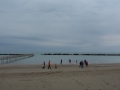 Gatteo_2015_005
