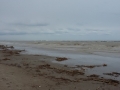 Gatteo_2015_006