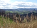 Gatteo_2015_013