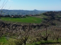 Gatteo_2015_015