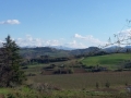 Gatteo_2015_016
