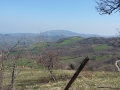 Gatteo_2015_045